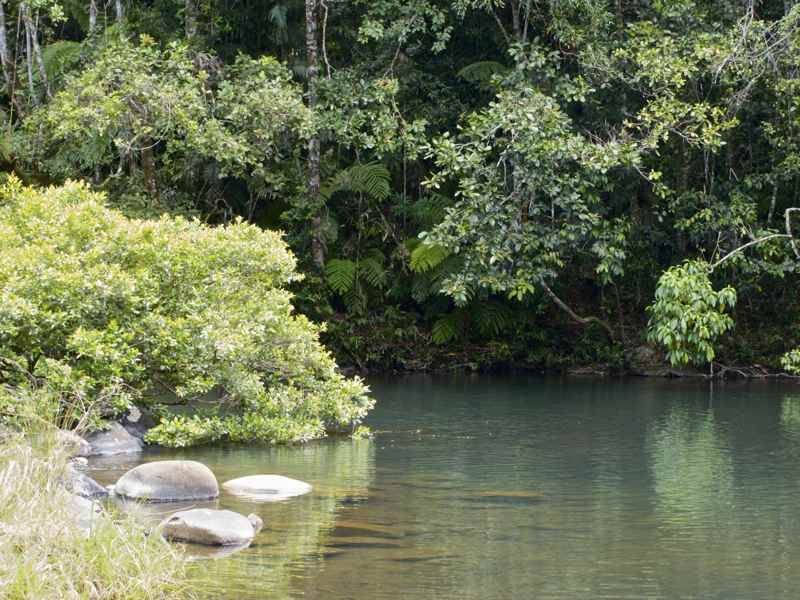 Waterhole